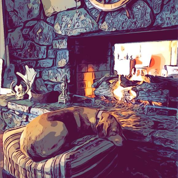 Meet your Posher, Alli - Picture 1 of 1